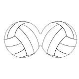 needlecase volleyball inside